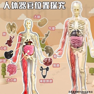 🔥免運🔥臺灣24H📣新款兒童益智力開發動腦拼裝模型小學生人體骨骼啟蒙玩具6到12歲