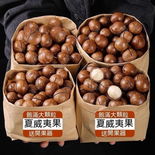 🚚日期新鮮 優選🔥夏威夷果1kg 大顆粒 帶殼 原味 奶香夏威夷果 堅果批發 奶油味 乾果 零食 大顆粒兒童孕婦