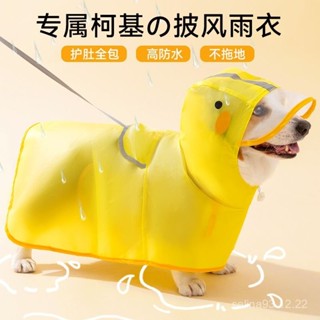 💥桃園倉庫出貨💥 柯基犬專用狗狗雨衣中小型犬泰迪雪納瑞柴犬寵物雨天衣服防水肚兜