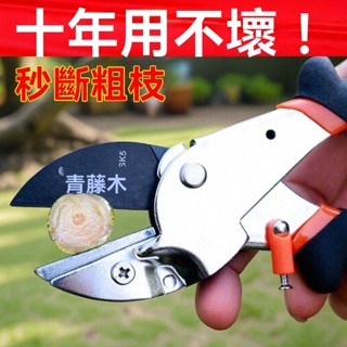 修枝剪 樹枝剪.農用剪刀.果樹剪 修枝剪刀 園藝剪枝 青藤木果樹剪刀樹枝家用剪子修枝剪修樹枝剪刀園藝園林剪刀粗枝剪