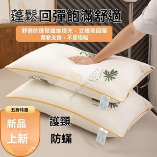 H護頸枕頭 枕頭 護頸 側睡枕 護頸枕 脖子枕頭 頸椎枕 牽引枕 低枕頭 高枕頭 頭枕 止鼾枕頭 低枕 透氣枕頭