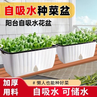 桃園發貨可開票陽臺種菜盆自動吸水種菜專用盆加大加厚長方形長條種菜箱塑膠花盆