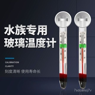 🔥桃園出貨-【一週內1300+人拚單】小胖溫度計吸盤式水族箱水溫計高精度防水嵌入式缸龜缸草缸專用
