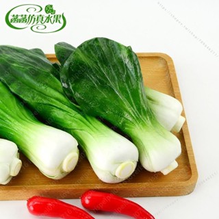 🌽臺灣出貨🌽模擬青菜 高仿上海青 小油菜 假青菜模型PU模擬蔬菜攝影早教道具 不能吃