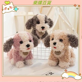 🔥臺灣出貨+發票✨23 釐米可愛捲曲小狗毛絨玩具精緻可愛貴賓犬娃娃舒適可愛兒童安撫娃娃禮物kun