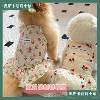 💥臺灣出貨💥狗狗衣服 寵物衣服夏天 貓咪衣服 寵物小裙子 狗狗背心 狗狗衣服可愛超萌春夏薄款公主風小型犬比熊博美約