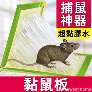🔥低價促銷🔥黏鼠板33 居家 老鼠板 捕鼠器 捕老鼠 老鼠板 老鼠夾 老鼠籠 捕鼠器 抓老鼠 老鼠貼 捕鼠神器