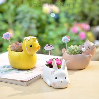 【臺灣出貨】可愛小動物多肉花盆 創意個性桌面微景觀花器 樹脂室內植物盆栽 裝飾 盆栽