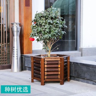 高品質 可開統編 防腐木花箱陽臺實木花盆戶外庭院特大號種樹專用種植箱鐵樹大花盆 蔬菜 菜盆