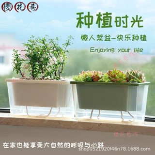 陽臺種菜盆 花盆 吸水花盆窄小邊縫種植盆家專用箱窗沿懶人自吸水花盆多肉槽WJ