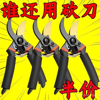 ✨限時優惠✨ 專業園藝修枝剪德國精工藝SK5家用樹枝剪刀修花果樹鋒利耐用 K9C7