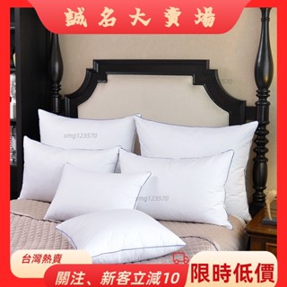 🎇桃園出貨+發票🎉出口北歐羽絨填充大靠墊靠枕抱枕芯40455060657080×訂製床zyb