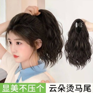 TOP🥇假髮女 雲朵燙馬尾抓夾 梨花水波紋無痕模擬假髮 短髮髮飾 高馬尾 假髮辮子 捲髮 假髮馬尾 假髮片 頭頂補髮片