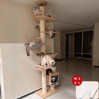【限時優惠】實木貓架子貓爬架貓窩貓樹一體通天柱貓跳臺小戶型不佔地貓玩具 M76Z
