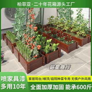 【可開發票】 【可承受重壓】柏菲亞種菜盆樓頂陽臺種植箱長方形蔬菜盆超大號花盆家庭院種菜箱 銘星商行