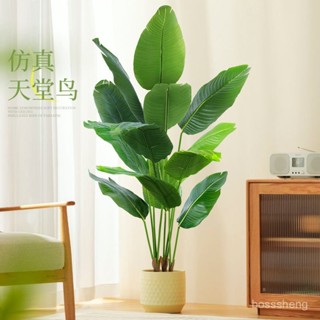 新品促銷✨【30天熱銷2241件】天堂鳥模擬綠植室內盆栽大型仿生植物假樹輕奢客廳落地擺件旅人蕉麥麥先生百貨 BAPP