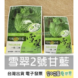 【種子】雪翠2號高麗菜 種子｜結球性佳｜蔬菜種子｜秋冬春可播｜高麗菜｜甘藍｜一脆二嫩三甜｜盆栽露地皆可｜空中花園藝世界