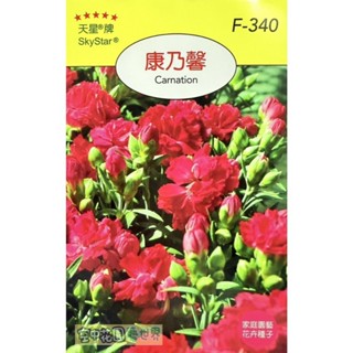 【臺灣出貨 電子發票】康乃馨 種子 菜籽 花卉 花香 插花 切花 家庭園藝 天星牌 空中花園藝世界 F-340