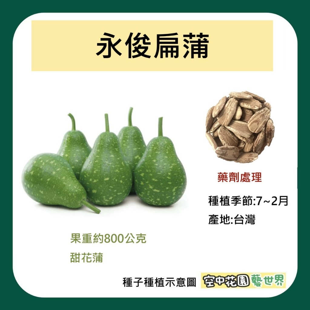 【台灣出貨 電子發票】永俊扁蒲 種子 花匏仔 蒲仔 瓠瓜 匏瓜 葫蘆 菜籽 空中花園藝世界