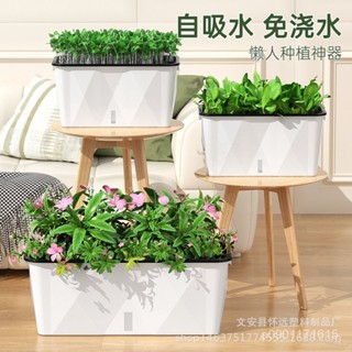 塑膠花盆長方形種多肉花槽吸水懶人花盆陽臺室內種菜盆