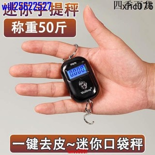 臺灣出貨威衡迷你手提秤小型掛鉤秤鑰匙扣掛秤口袋秤買菜快遞電子秤稱重50