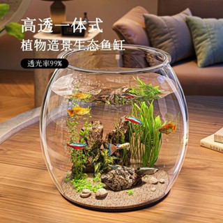 微景觀生態瓶✨成品盆景小型魚缸塑膠超透耐摔客廳辦公室金魚綠植觀賞微景觀生態缸 綠植 玻璃缸
