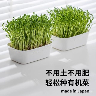 🔥臺灣出貨🔥日本進口豆苗髮芽盆陽臺果蔬種植盆蔬菜無土水培草種植種菜神器戶外庭院種菜盆 蔬菜種植箱 種菜盆 盆栽容器