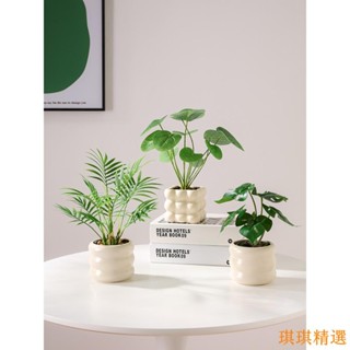 琪琪優選 模擬綠植假花擺件 龜背葉小盆栽 辦公桌面室客廳茶幾植物擺設 裝飾品