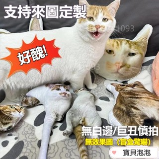 【滿199起出貨】客製化抱枕 客製寵物抱枕 貓咪抱枕 貓咪玩偶 小狗抱枕 異形抱枕 巨醜玩偶抱枕 惡搞抱枕 惡搞玩偶 來