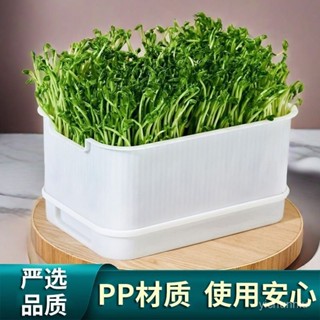 🔥新店特惠+免運🔥 家用新款神器育苗專用快速食品級水培髮芽綠豆芽豆芽豆芽菜種植 ET1R