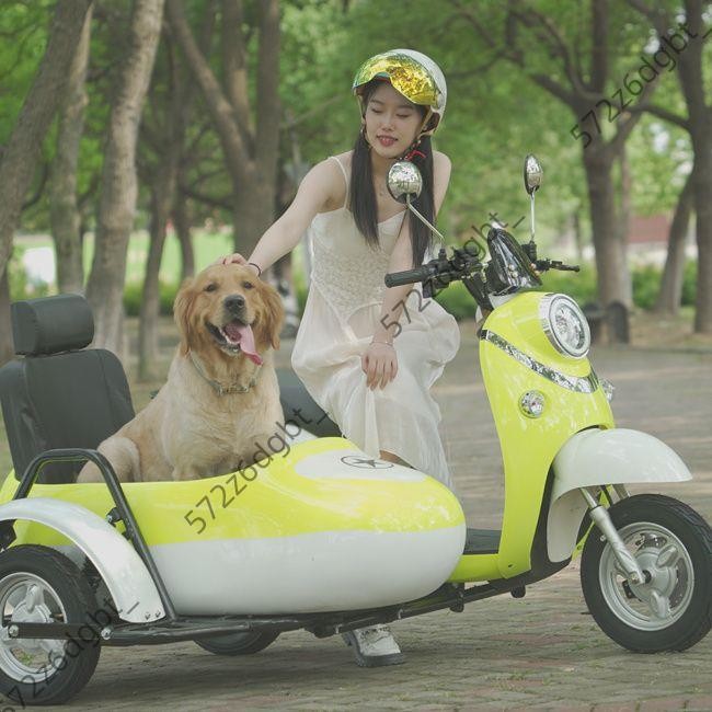 【優選廠家】電動車成人電摩侉子邊三輪小龜景區72V超長續航八嘎車可上牌特價【詢運費】250408