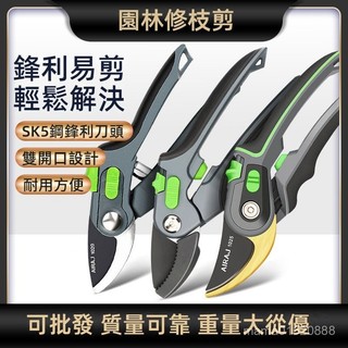 修枝剪✅SK5家用果枝剪刀 修花園林園藝剪刀 園林工具
