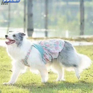 多多🐶新款大型犬裙子寵物衣服夏季薄款公主風裙子可愛洋氣中大型犬薩摩耶哈士奇阿拉斯