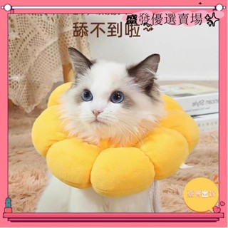 【臺灣出貨】-可開發票+發票貓咪絕育項圈防舔 除跳蚤英短貓咪脖圈頸圈頭套狗寵物用品yxh