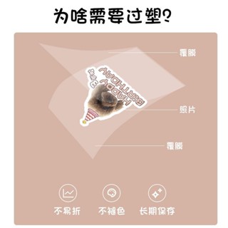 定製寵物插牌貓貓咪狗狗寵物蛋糕頭像定製加頭像專屬照片過塑專用