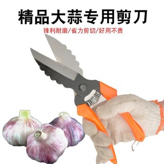 💥桃園有貨/免運💥【30天熱銷2672件】大蒜剪專用蒜幹蒜大頭蒜農用家用多功能大蒜剪刀特快鋒利免磨