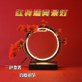 桃園出貨 拍照背景燈 拍照道具 交換禮物 紅異端新款 背景燈 擺件背景燈 可變光調光 mg高達模型手辦背景 桌麵氛00