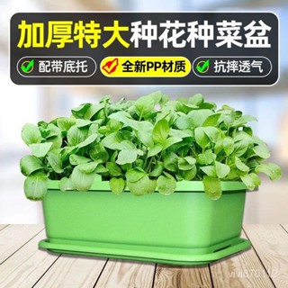 特厚種菜盆 陽臺長方形塑料盆 家庭蔬菜種植盆長型花盆 種菜盆 長花盆 長方形花盆 控根盆 花槽 花盆 種菜花盆