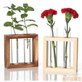 丸子 試管水耕 水培 玻璃花器 綠色植物 辦公桌擺飾 花店 民宿 餐桌裝飾 黃金葛 園藝製作 療癒小物 客廳裝飾