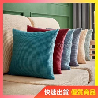 【店內熱賣】免運顆粒絨抱枕套 多種素色枕套 沙發抱枕套 毛絨抱枕套 居家 客廳 沙發裝飾抱枕靠墊套 40*40cm 沙發