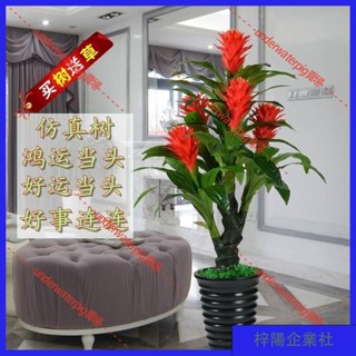 梓楊企業社🛒模擬裝飾 假樹紅掌仿真植物盆栽客廳鴻運噹頭內裝飾花田園塑料套裝落地花藝 YW5H