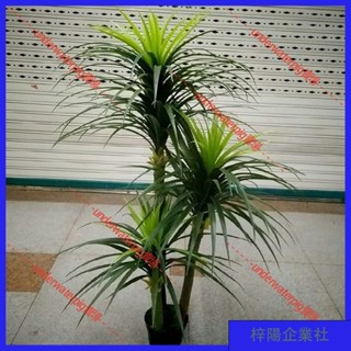 梓楊企業社🛒仿真花 裝飾花 朔料花 假花 假樹 仿真植物樹 盆栽 客廳擺設 大型綠植 室內裝飾假花三桿模擬龍血樹