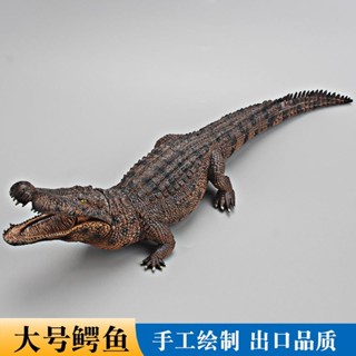 【日韓熱銷】大號模擬鱷魚模型 實心野生動物玩具 塑膠兒童科教寶寶認知禮物擺件熱銷