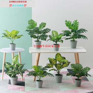 🚀限時新品🌟北歐風仿真植物盆栽 多規格 光觸媒加工 龜背葉盆栽 人造植物 假樹 假植物 綠植 室內盆景HB0603