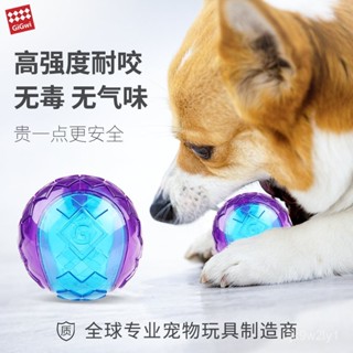 🔥臺灣爆火🔥寵物彈力球 磨牙玩具 啾球係列 發聲球 狗狗玩具 貓咪玩具 磨牙玩具 寵物玩具 藍紫球 OAZY
