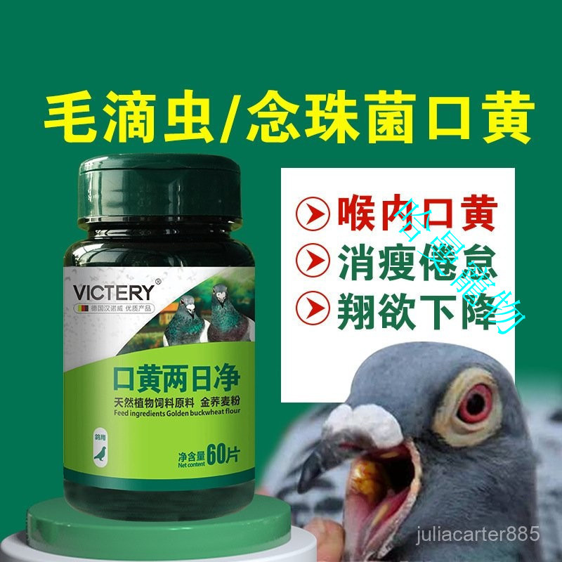 哈曼寵物  口黃兩日凈60片/瓶 幼鴿口黃水綠便毛滴蟲喉內白點念珠菌非鴿子 CIBM