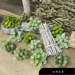 【免運】迷你多肉植物模擬盆栽仿生植物人造植物景觀家庭辦公室酒店裝飾假植物園林植物展示模擬植栽模擬蕨類