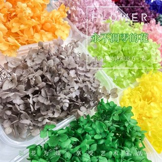 ✨臺灣出貨✨永生繡球花繡球5g小盒裝繡球幹手工花團扇相框玻璃罩花材diy花環 4RV2
