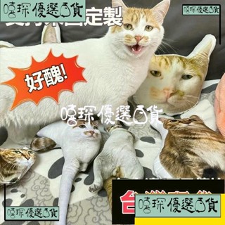 嘻琛優選·+客製化抱枕 客製寵物抱枕 貓咪抱枕 貓咪玩偶 小狗抱枕 異形抱枕 巨醜玩偶抱枕 惡搞抱枕 惡搞玩偶 來圖定