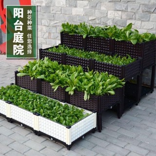 Bubble Shop🫧花箱戶外露天長方形室外花池美觀花園加深木製花墰種蔬菜餐廳神器